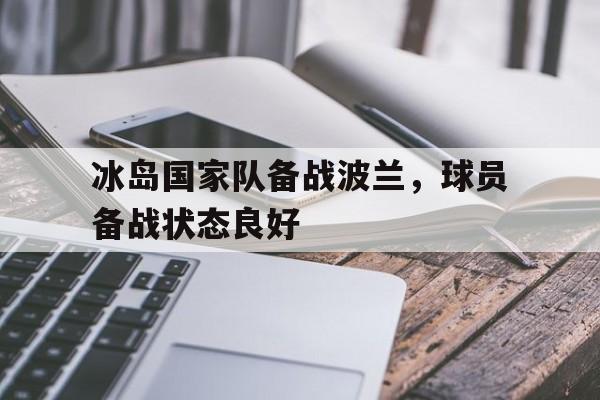 九州娱乐-冰岛国家队备战波兰，球员备战状态良好