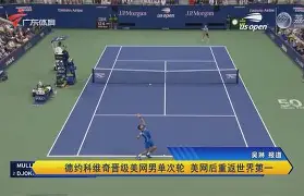 九州娱乐-关于汉达诺维奇连斩两球，维罗纳惊险告捷的信息
